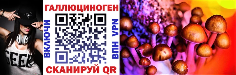 Купить закладки  Гаджиево  Галлюциногенные грибы мицелий 